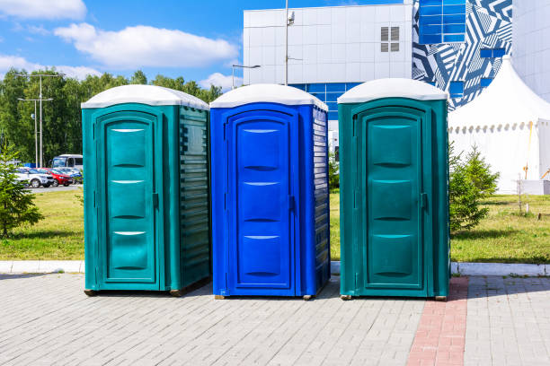 Best Portable Restroom Maintenance and Cleaning  in South Haven, IN